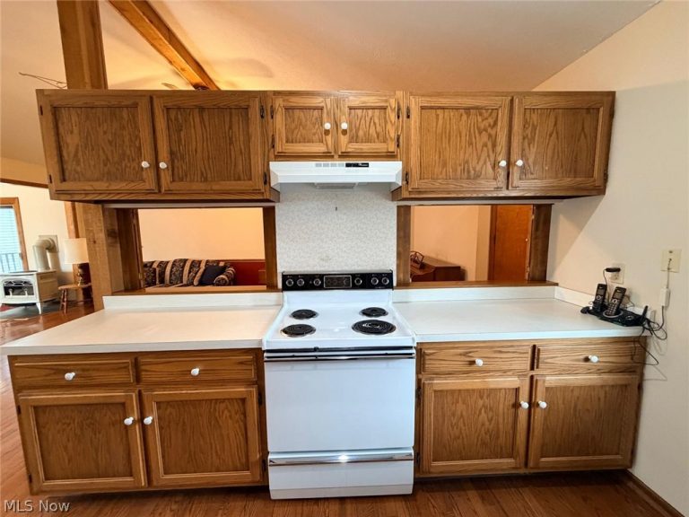 1044 Brimfield Drive, Medina, OH - Photo 4