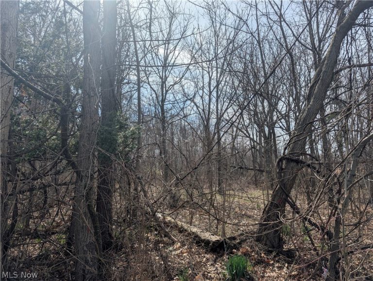 VL North Ridge Road, Lorain, OH - Photo 3