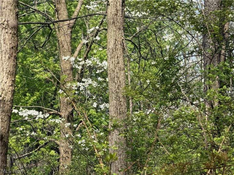 Village Street, Canton, OH - Photo 3