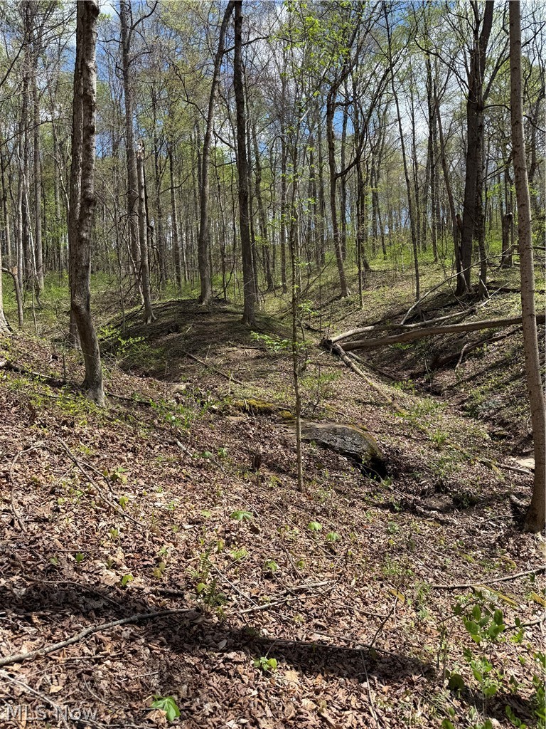 Plainview Road, Woodsfield, OH - Photo 6