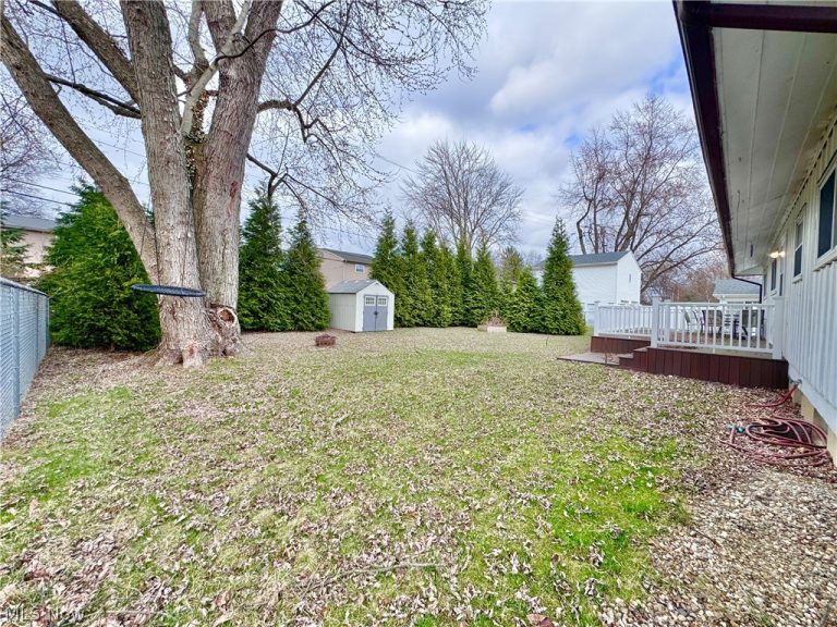 4230 Selkirk Avenue, Austintown, OH - Photo 4