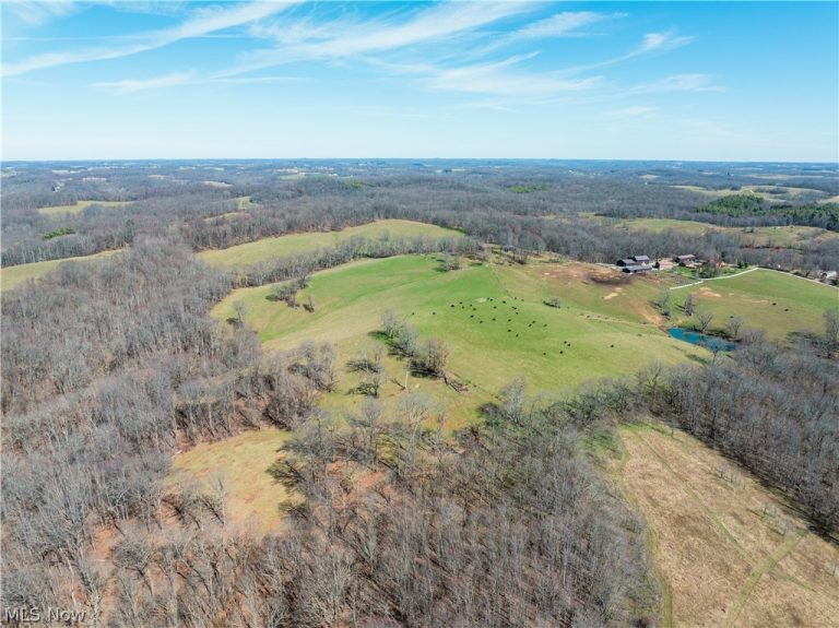 91100 Eckley Road, Jewett, OH - Photo 3