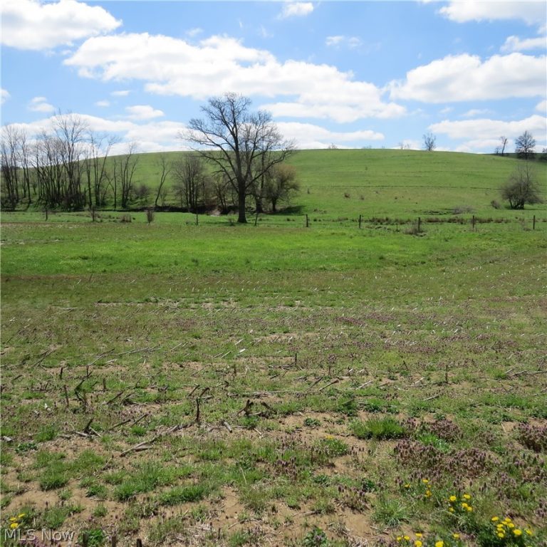 Fink Road, Kensington, OH - Photo 8