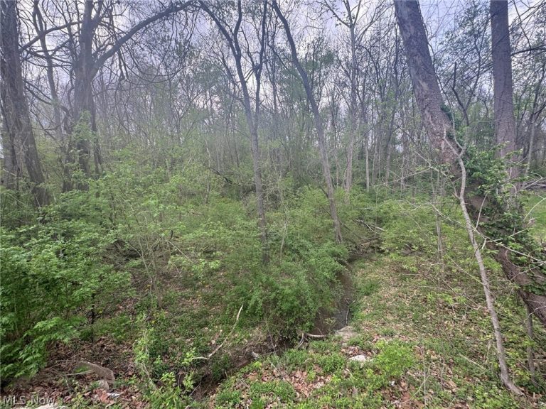 Coopermill Road, Zanesville, OH - Photo 6