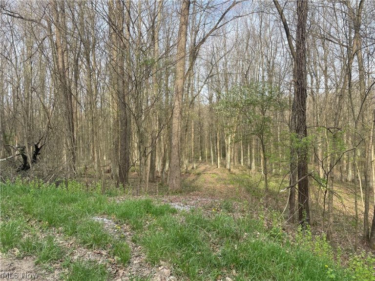 2073 Lilly Road, Minerva, OH - Photo 2