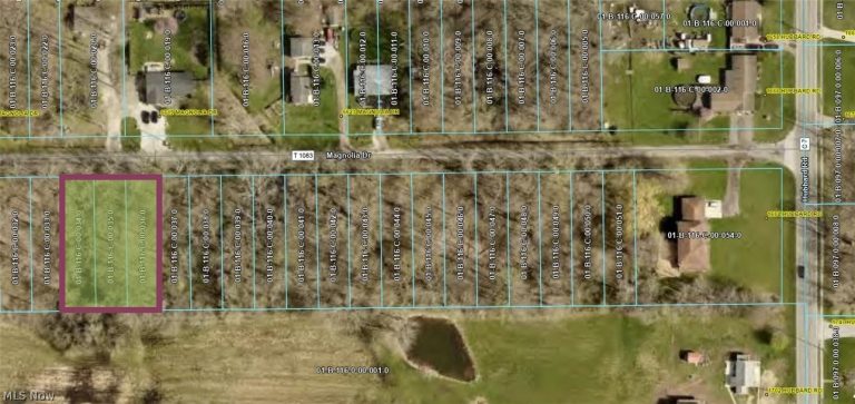 Magnolia Drive #5, Madison, OH, 44057