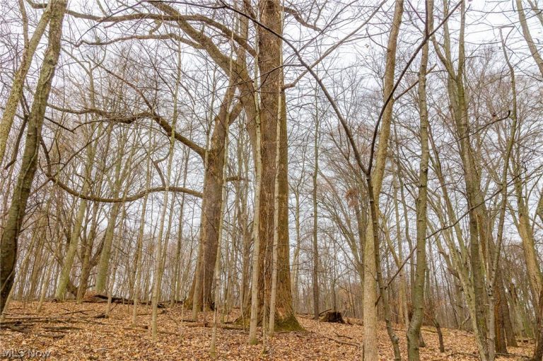 Pigeon Run Avenue, Navarre, OH - Photo 8