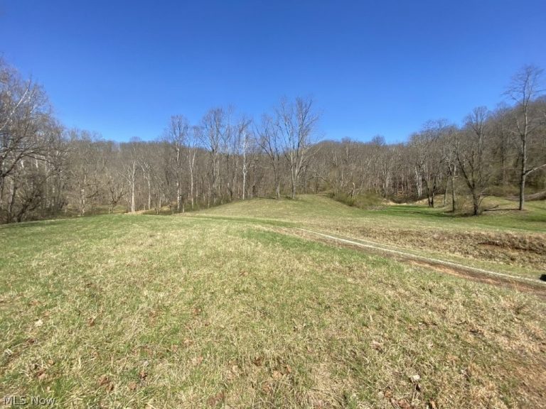 988 Young Lane, Elizabeth, WV - Photo 8