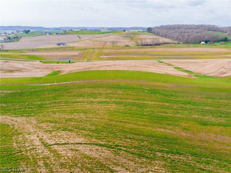 N American Road, Dover, OH - Photo 5