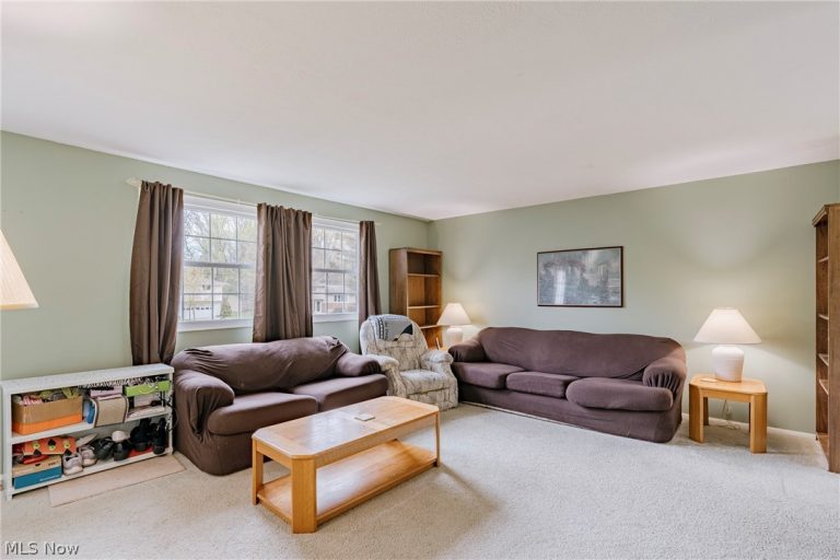 10220 Belmeadow Drive, Twinsburg, OH - Photo 4