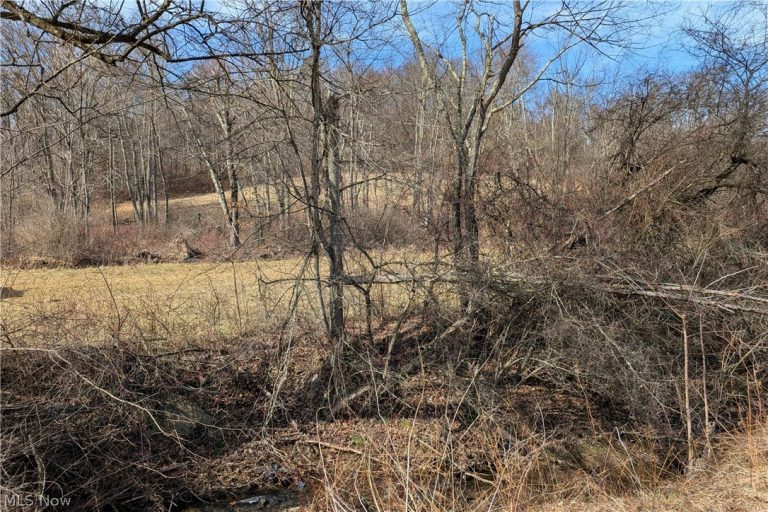 Stonecreek Road, Newcomerstown, OH - Photo 2