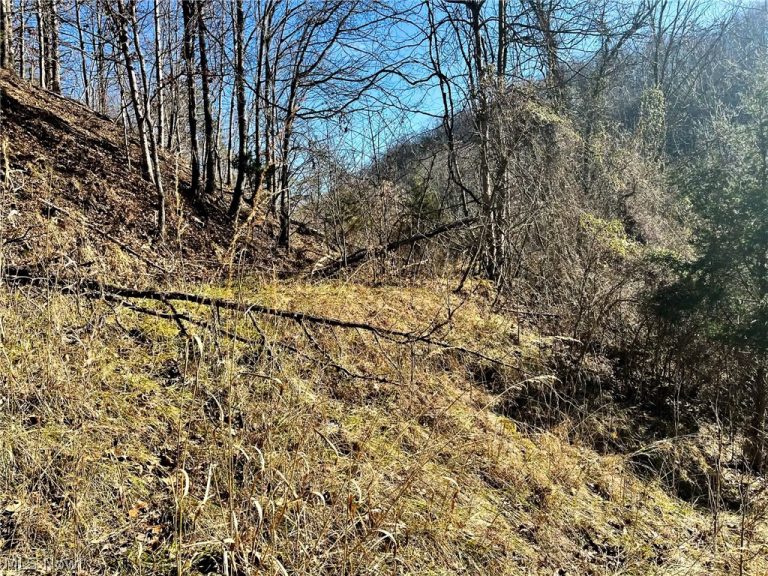 Rd 34, Ripley, WV - Photo 6