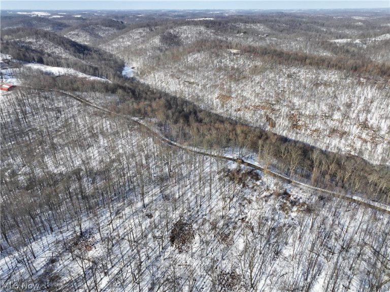 Tract 8 Barber Ridge Road, Lewisville, OH - Photo 2