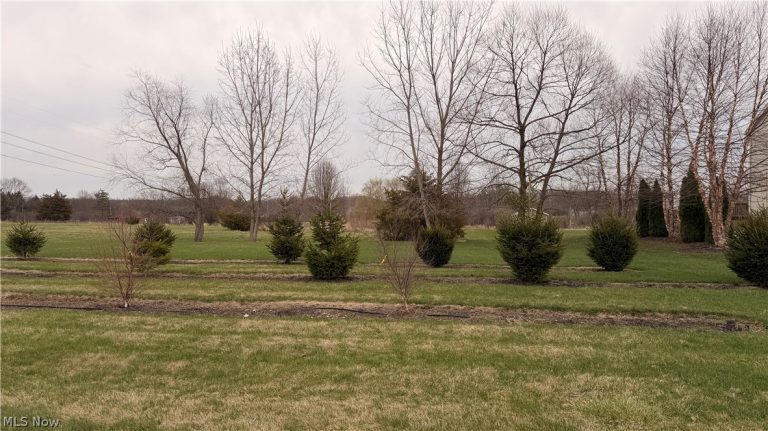 3629 Windsong Drive, Medina, OH - Photo 4