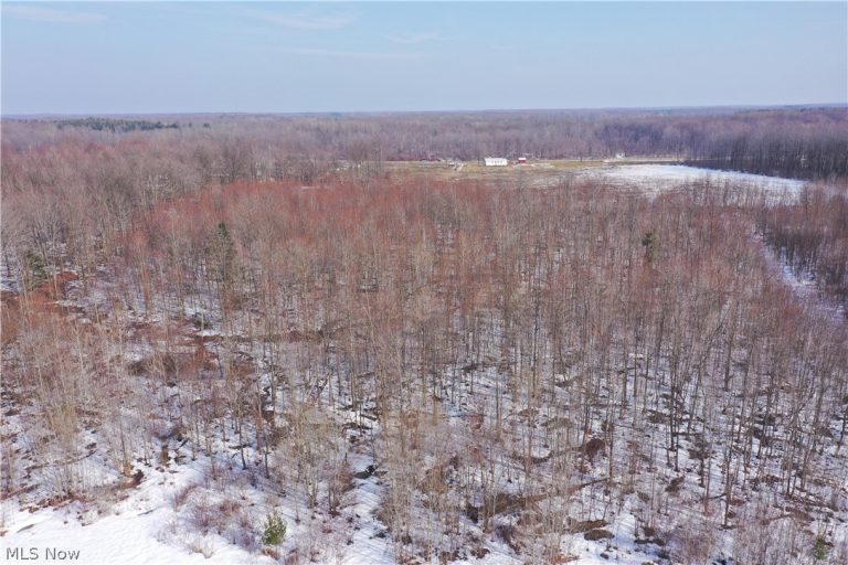 Adams Road, Kingsville, OH - Photo 5