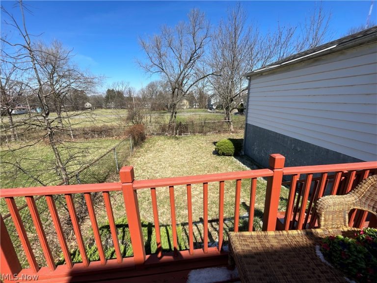 414 Laclede Avenue, Youngstown, OH - Photo 6