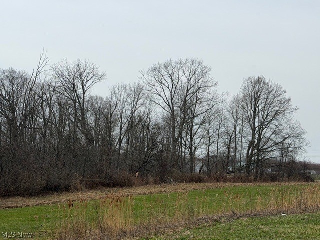 Madison Road, Madison, OH - Photo 3
