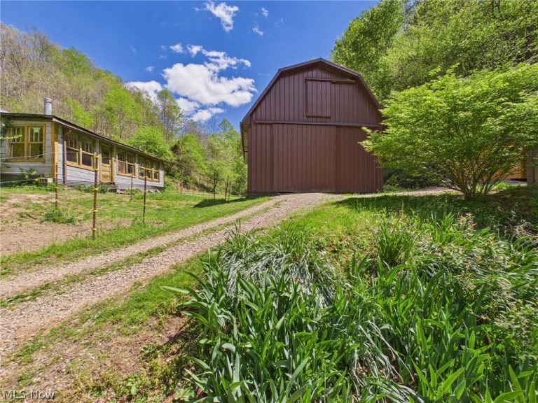 1000 Coon Fork Road, Arnoldsburg, WV - Photo 6