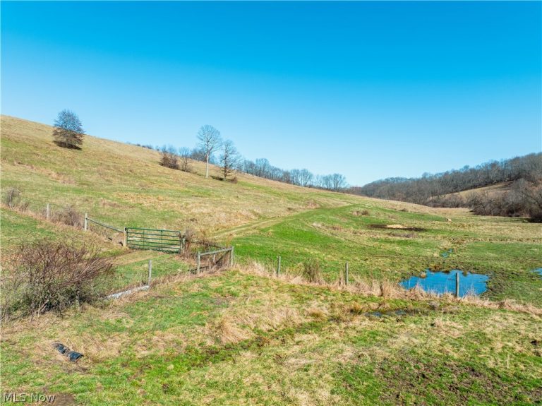 Eckley Road, Jewett, OH - Photo 8