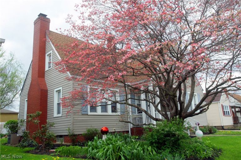 345 Roslyn Avenue, Canton, OH - Photo 4