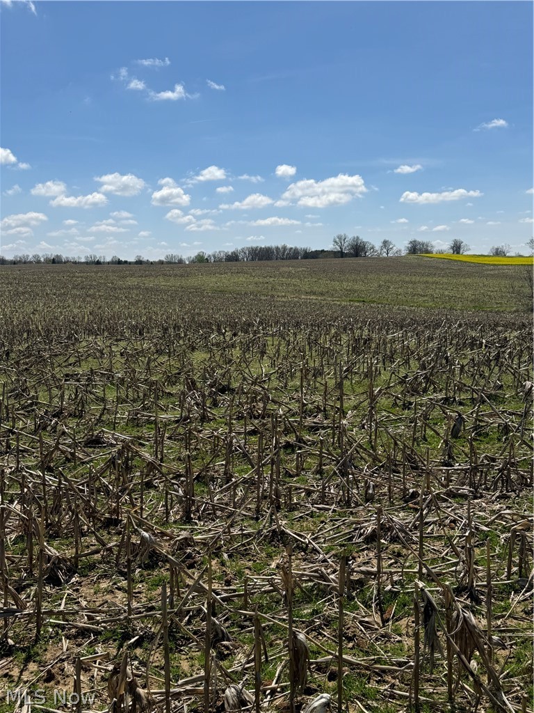 V/L Bieri Road, Marshallville, OH, 44645