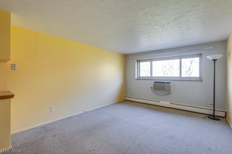 115 Rocky River Drive #303, Berea, OH - Photo 6