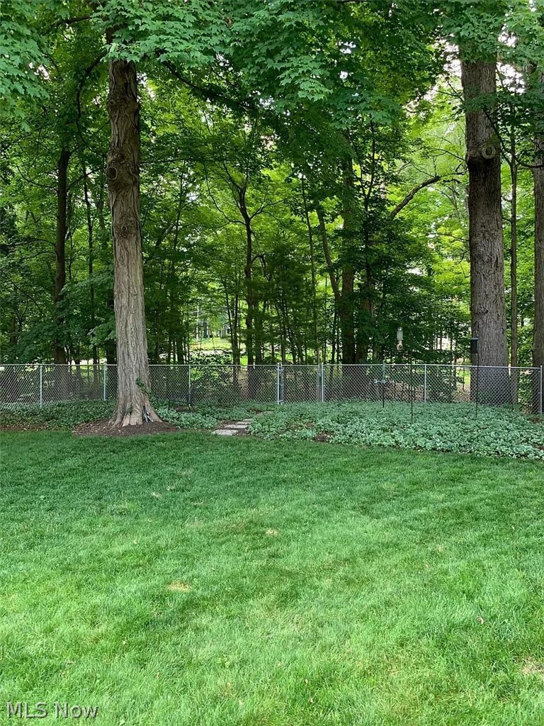 450 Bell Street, Chagrin Falls, OH - Photo 8