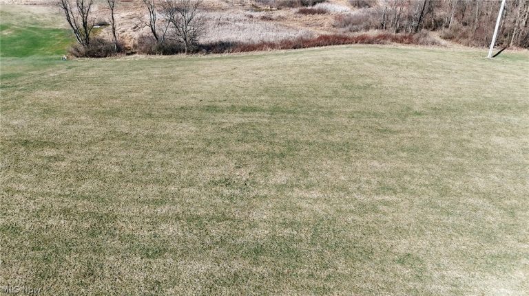 V/L Granger Road, Medina, OH - Photo 3