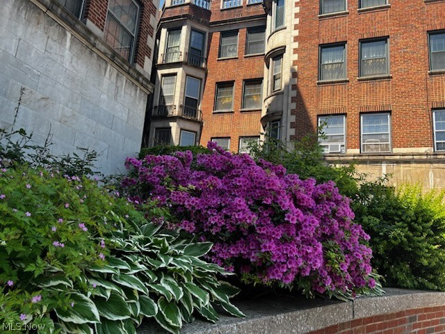 11430 Cedar Glen Parkway #B1-B2, Cleveland, OH, 44106