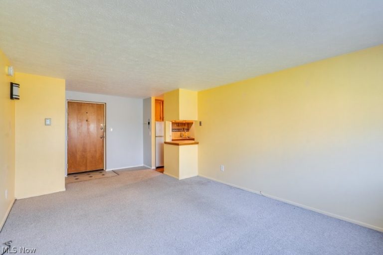 115 Rocky River Drive #303, Berea, OH - Photo 8