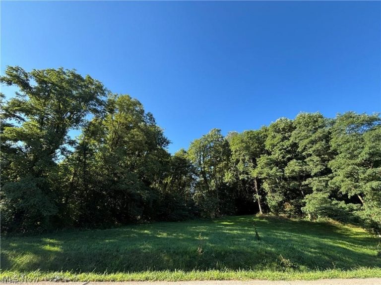 4872 Autumn Leaves Drive, Akron, OH - Photo 4