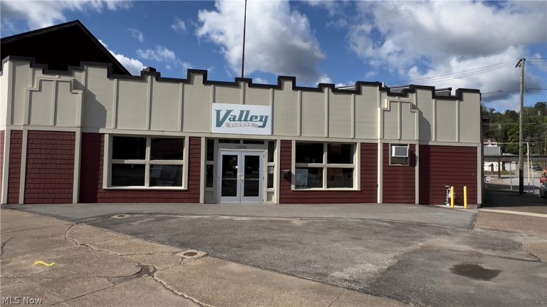 3295 Guernsey Street, Bellaire, OH, 43906