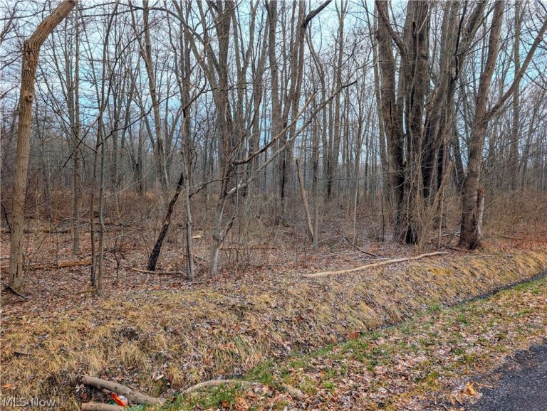 Magnolia Drive #4, Madison, OH - Photo 2