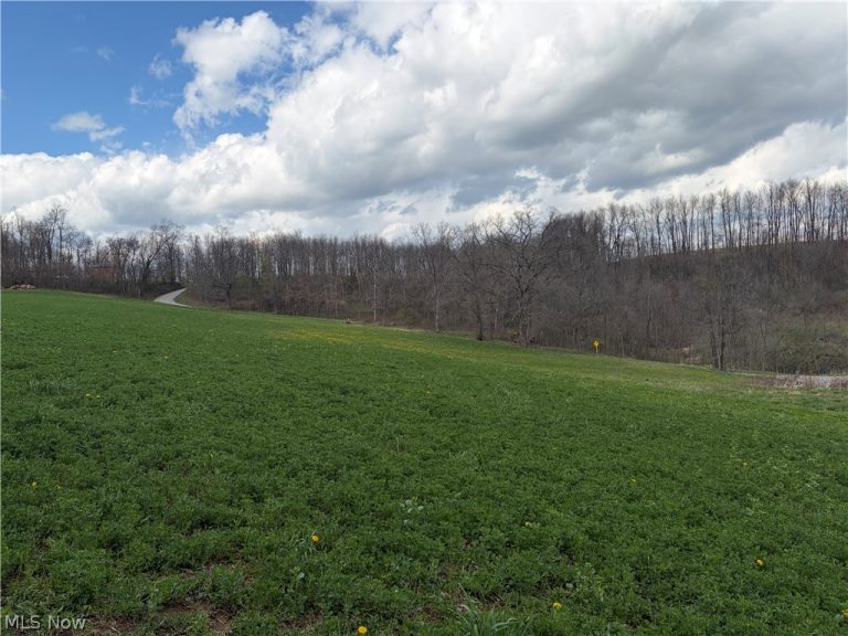 Township Road 177, Baltic, OH - Photo 3