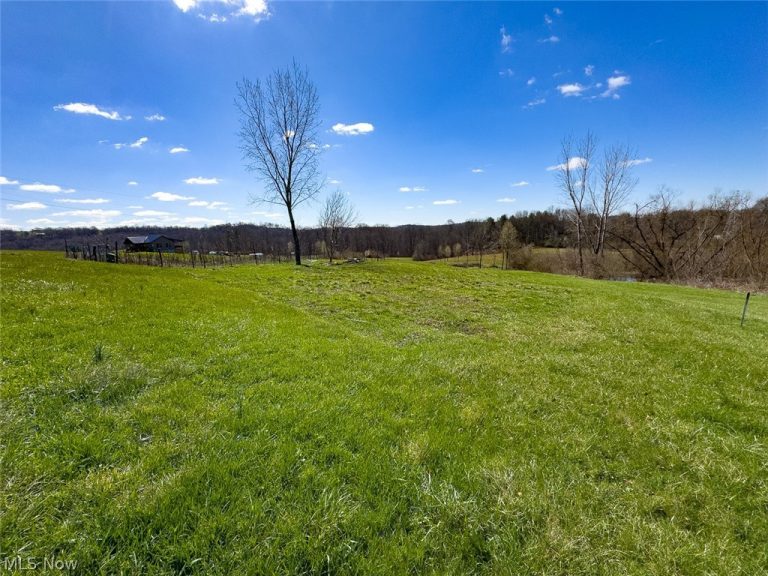 6880 Shaver Road, Blue Rock, OH - Photo 8