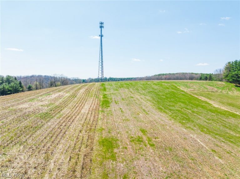 9050 Freeman Road, Lisbon, OH - Photo 4