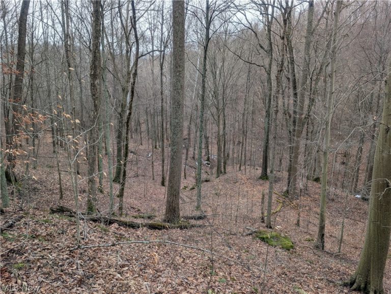 Tract 7 Edwina Road, Woodsfield, OH - Photo 8