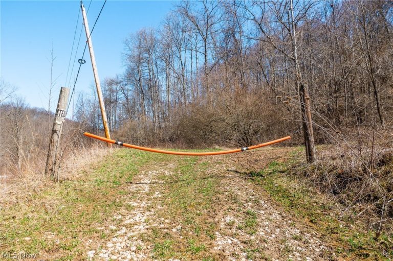 Sheepskin Ridge Road, Lower Salem, OH - Photo 3