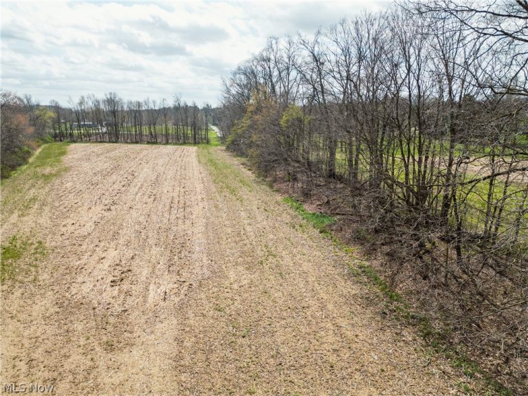 Steiner Road, Creston, OH - Photo 8