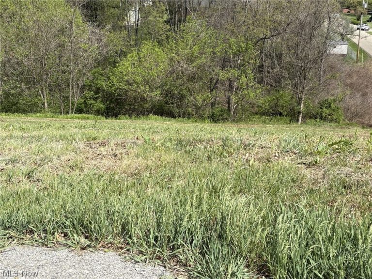 Bantam Ridge, Wintersville, OH - Photo 2