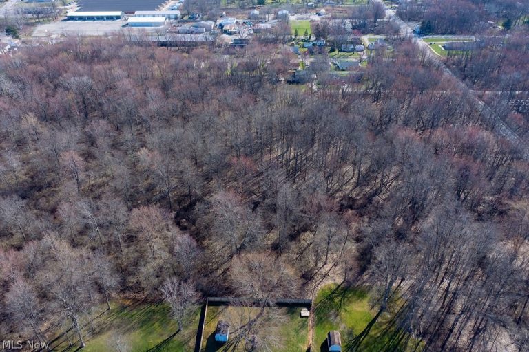 Woodruff Drive, Sheffield Lake, OH - Photo 2