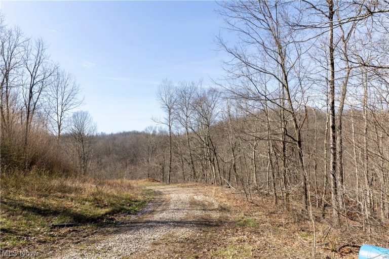 505 Back Run Road, Philo, OH - Photo 8