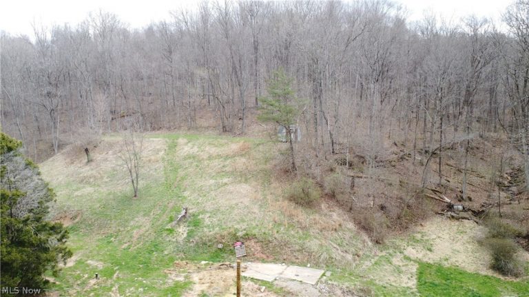 39460 Opossum Creek Road, Sardis, OH - Photo 4