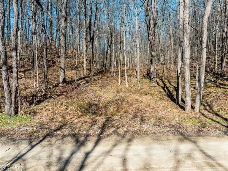 Burrier Road, Jewett, OH - Photo 8