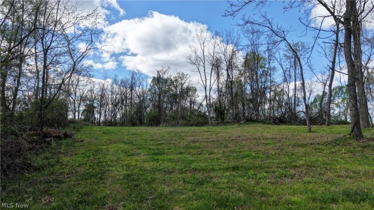 Deersville Ridge Road, Cadiz, OH - Photo 8