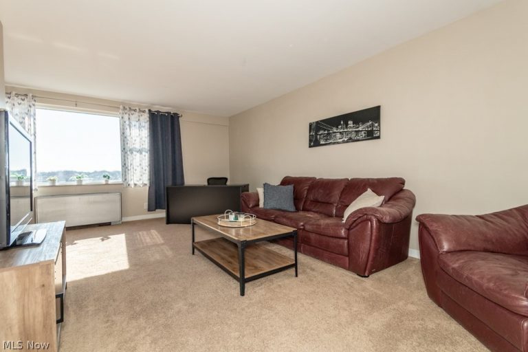11850 Edgewater Drive #1002, Lakewood, OH - Photo 4