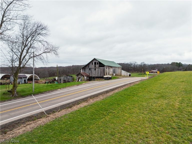 SR-516, Dundee, OH - Photo 3