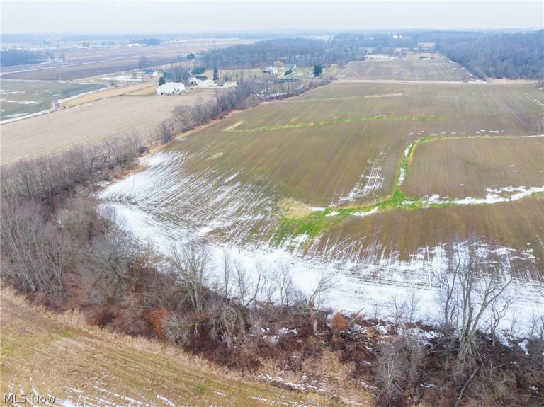 7389 Doylestown Road, Sterling, OH - Photo 6
