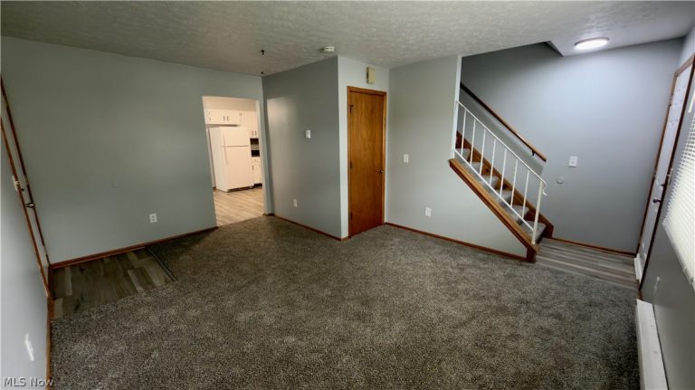 239 Brunswick Drive, Elyria, OH - Photo 8