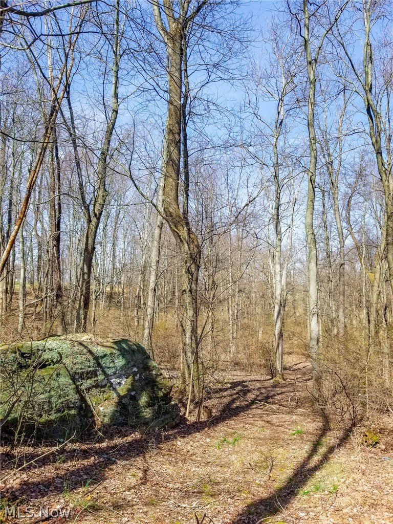 17805 Early Cemetary Road, Kimbolton, OH - Photo 8